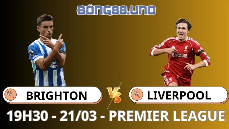 Soi Kèo Brighton Vs Liverpool